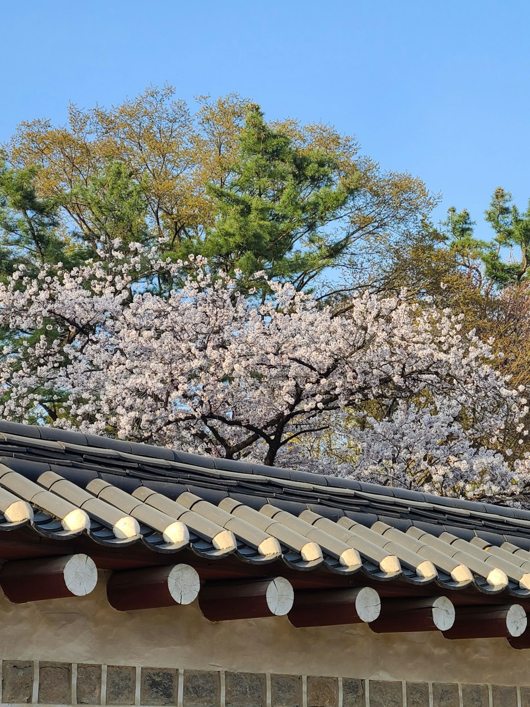 조선시대생활모습과 신분제도 유교 의식주 민속놀이 관혼상제 양천제 알아보자