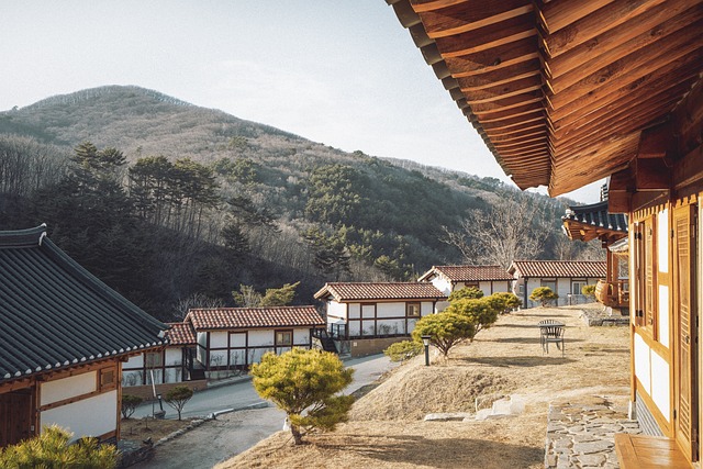 고려시대 : 상평창 양경 12목 경시서 서적포 국자감 양현고 9재학당 청연각